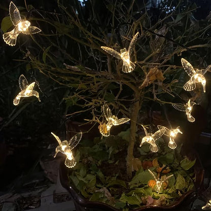 HummingGlow String Lights