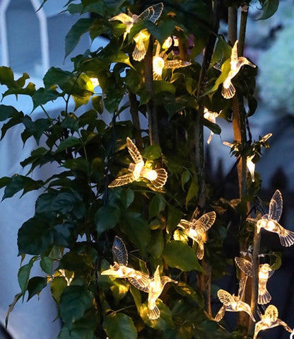 HummingGlow String Lights