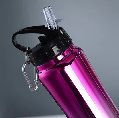 AquaSip Portable PC Water Bottle