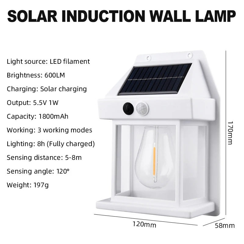 LumiGuard Solar Sentinel – Outdoor Motion-Sensing Solar Light