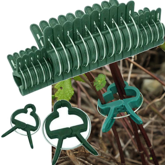 Grafting Clips Set of 20