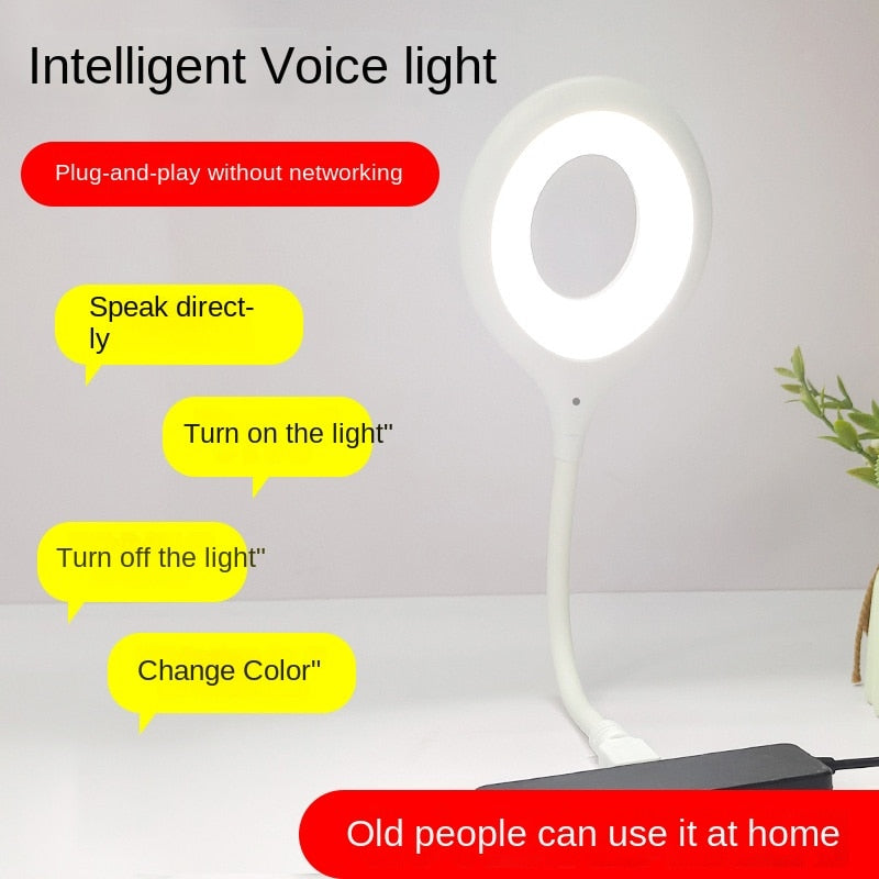 Voice Control USB Portable Lamp