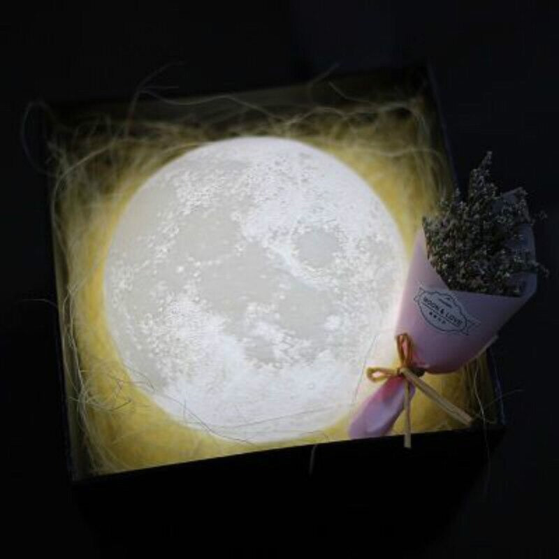 3D Moon Lamp