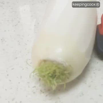 Hand Vegetable Peeler