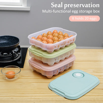 Egg Storage Box - Assorted