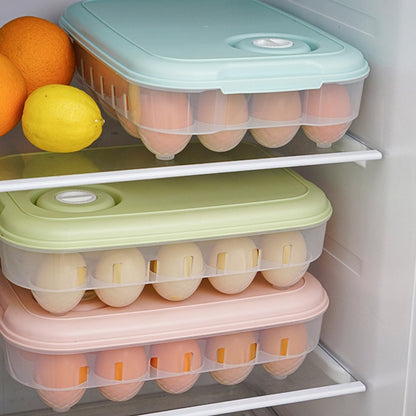 Egg Storage Box - Assorted