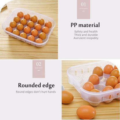 Egg Storage Box - Assorted