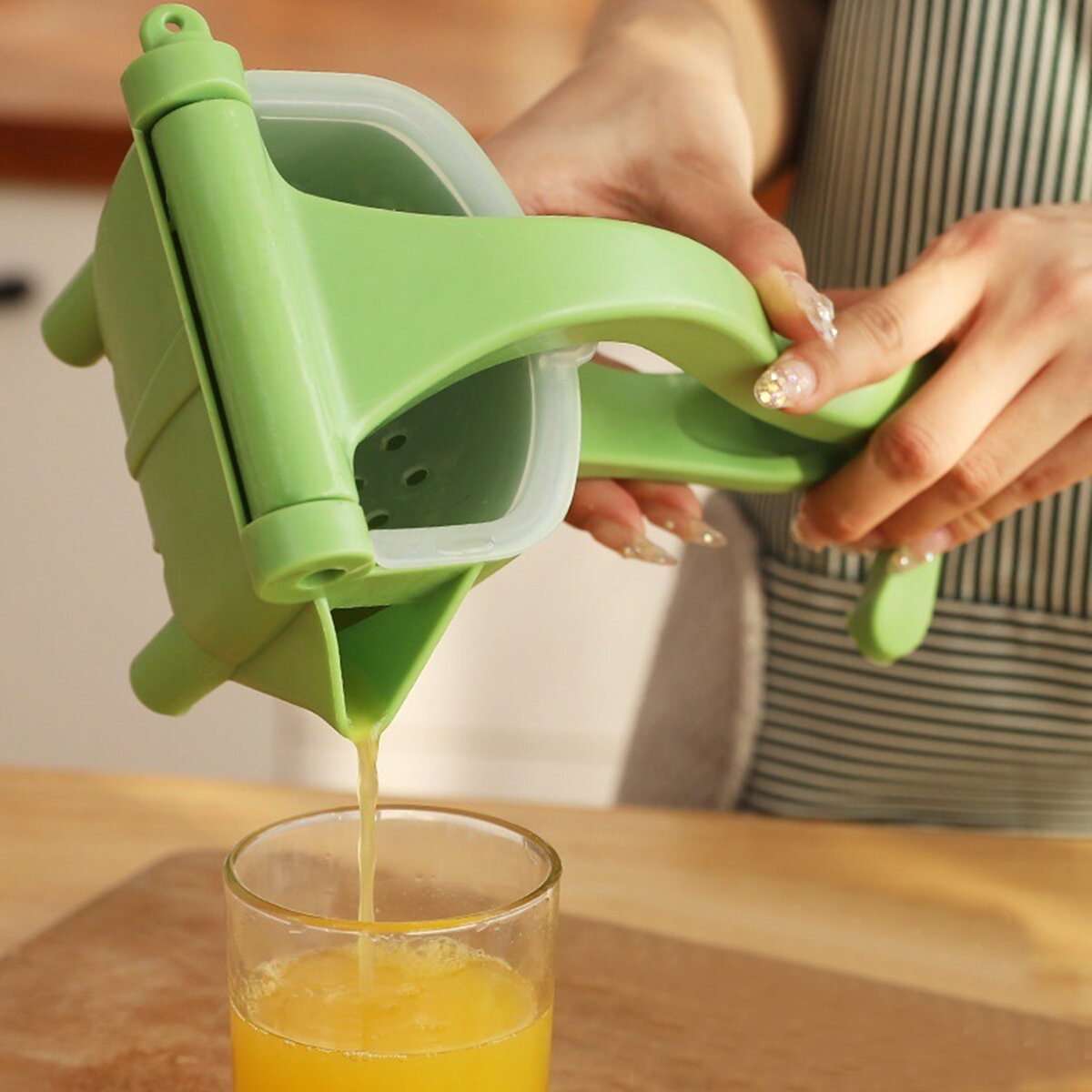 Manual Juice Squeezer