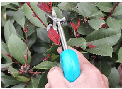 Pepper Picker Scissors