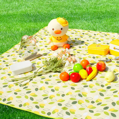 Outdoor Picnic Mat - ASSORTED