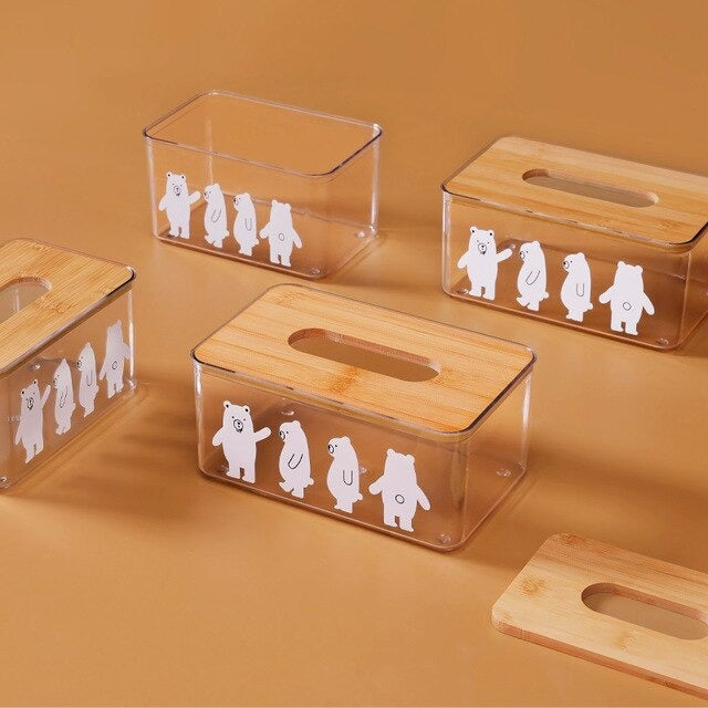 Transparent Tissue Box